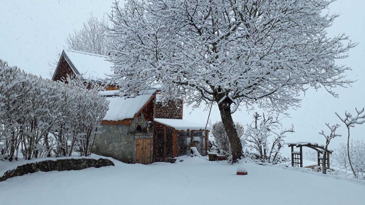 Photo of Outdoor in Entremont-le-Vieux