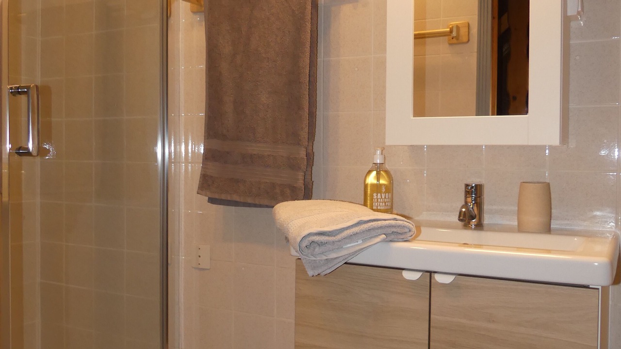 Photo of Bathroom in Entremont-le-Vieux
