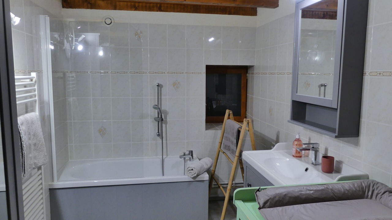 Photo of Bathroom in Entremont-le-Vieux