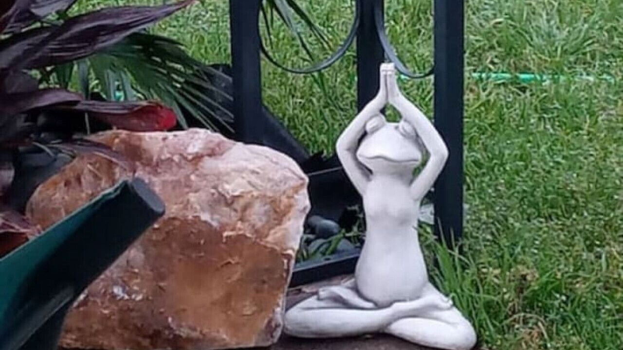 Photo of Outdoor in Watauga