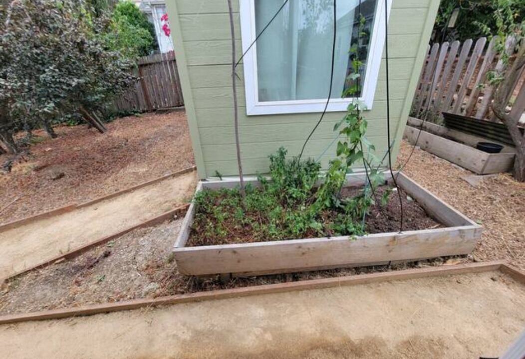 Photo of Outdoor in Crockett