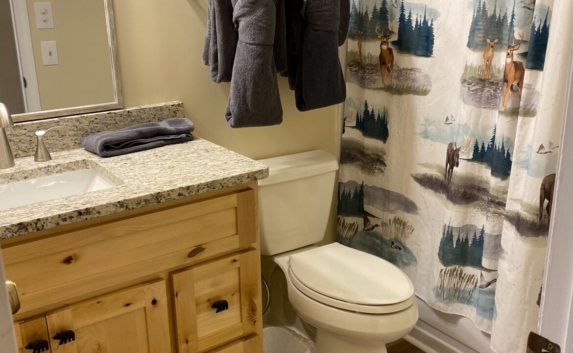 Photo of Bathroom in Wears Valley