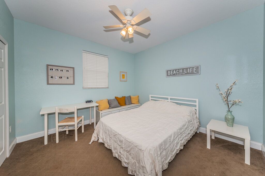 Photo of Others in Tarpon Springs