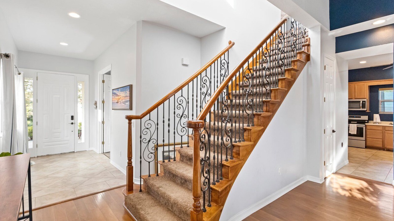 Photo of Others in Palm Harbor