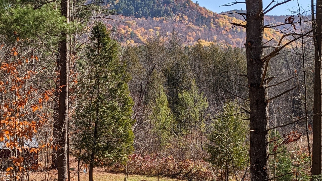 Photo of Others in Olmstedville
