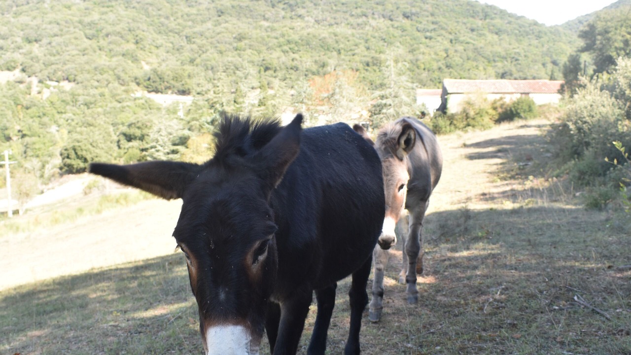 Photo of Outdoor in Villefloure