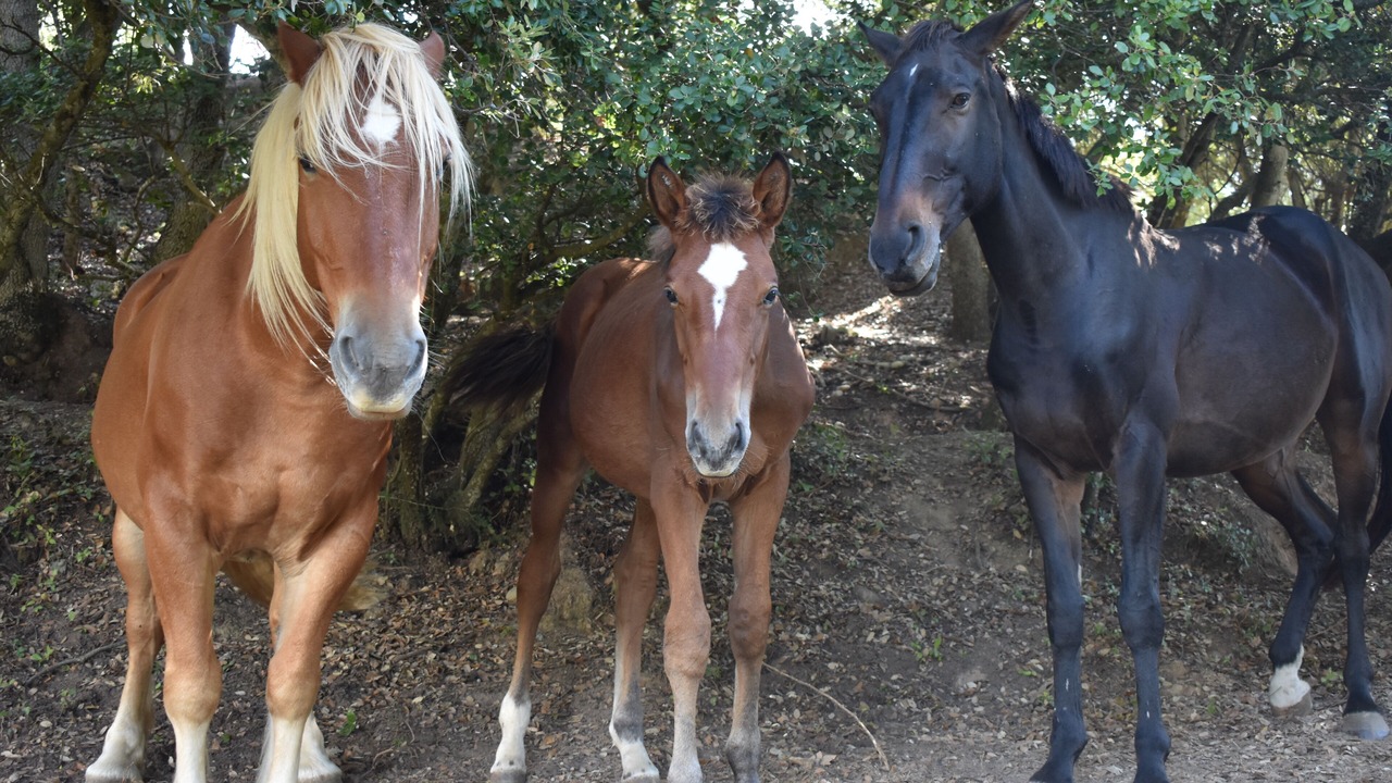 Photo of Others in Villefloure