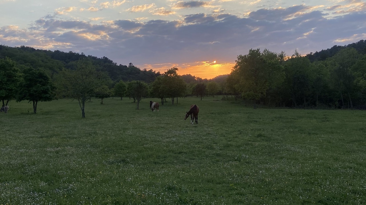 Photo of Others in Villefloure