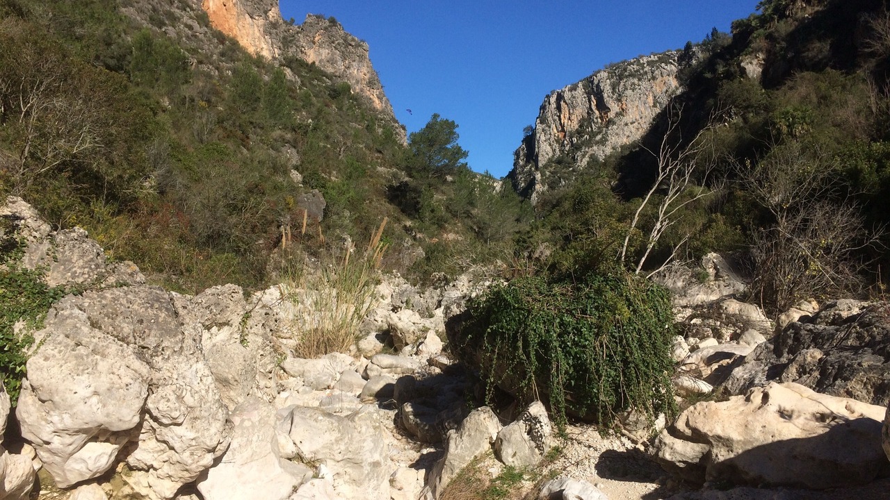 Photo of Others in Empedrola
