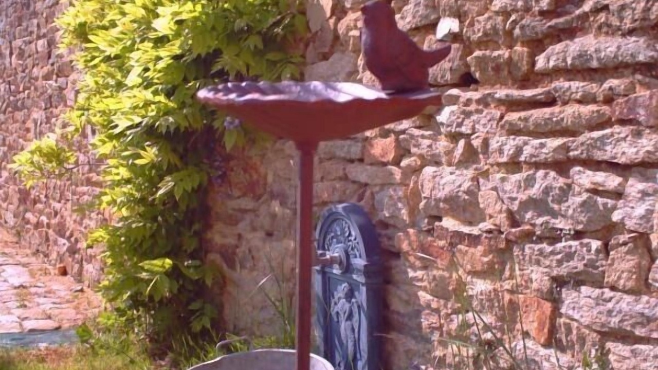 Photo of Outdoor in Muzillac