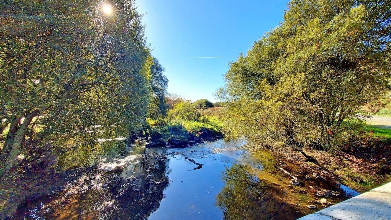 Photo of Others in Pluneret