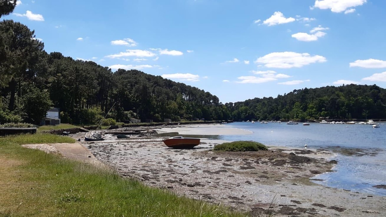 Photo of Others in Pluneret