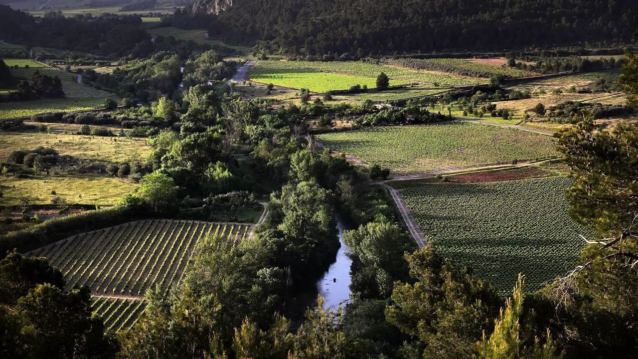 Photo of Outdoor in Bize-Minervois