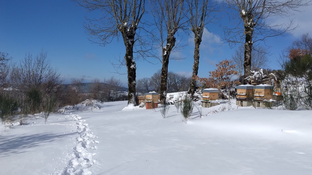 Photo of Outdoor in Saint-Germain-lʼHerm