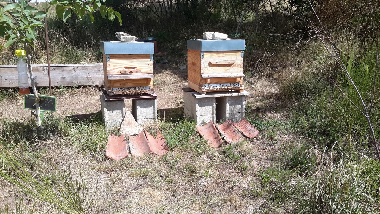 Photo of Outdoor in Saint-Germain-lʼHerm
