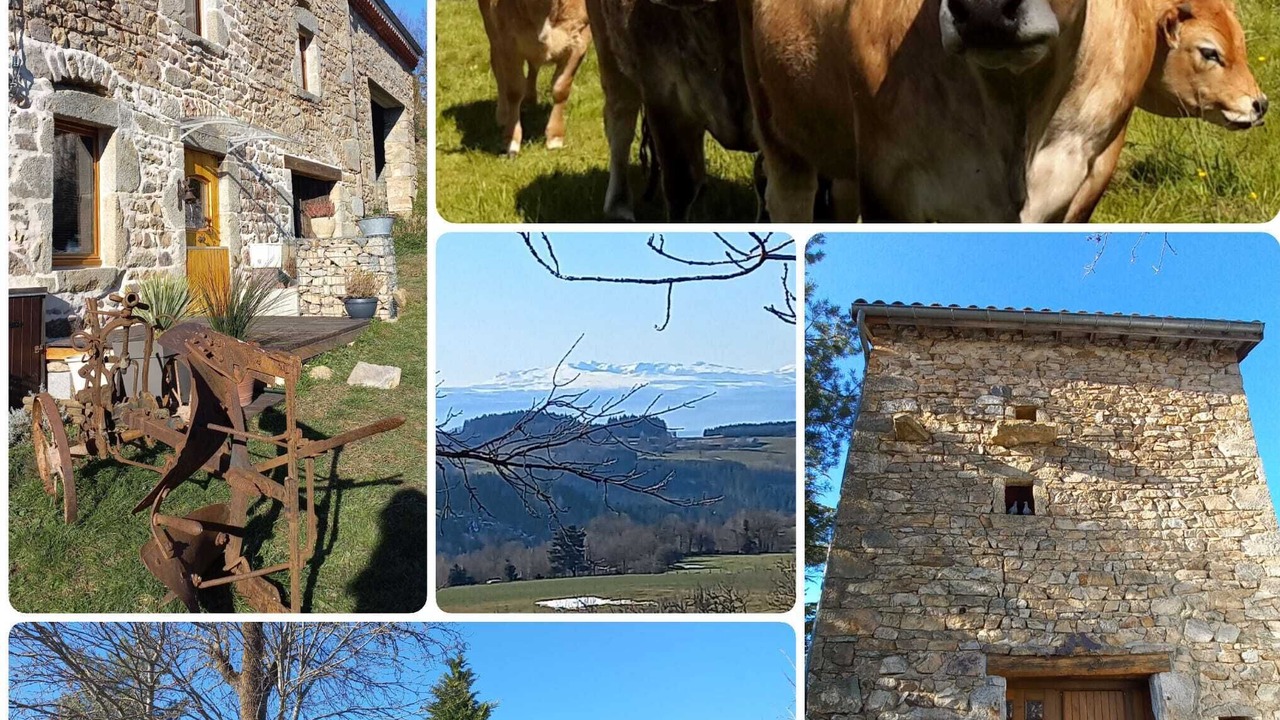 Photo of Others in Saint-Germain-lʼHerm