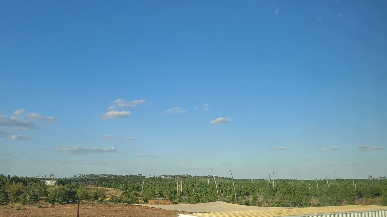 Photo of Others in Bastrop