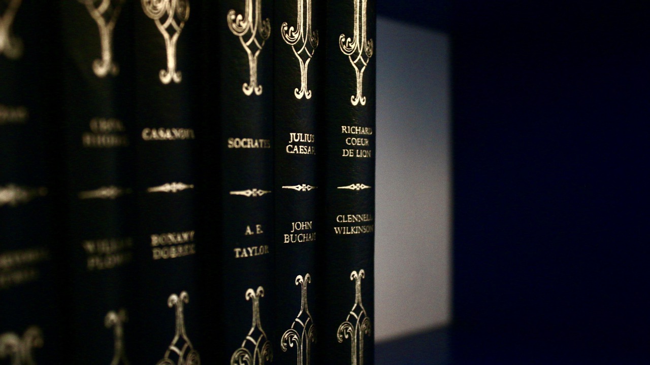 Photo of Others in Seaford