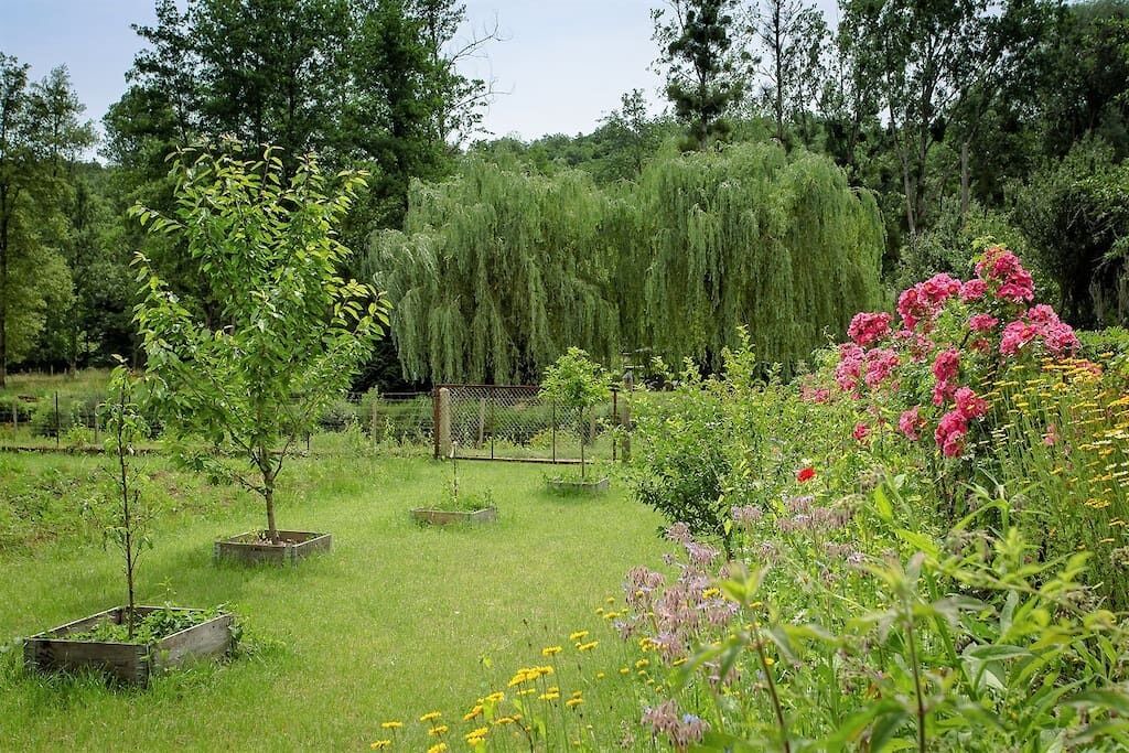Photo of Outdoor in Poce-sur-Cisse