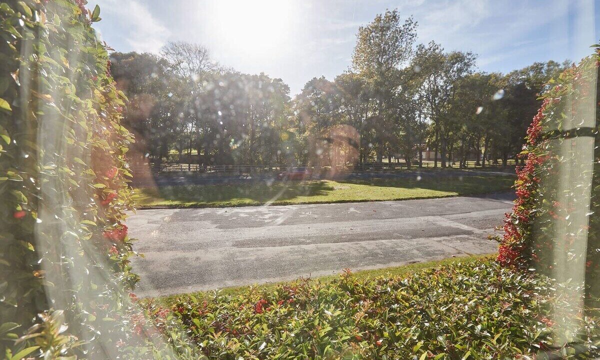 Photo of Others in Sewerby