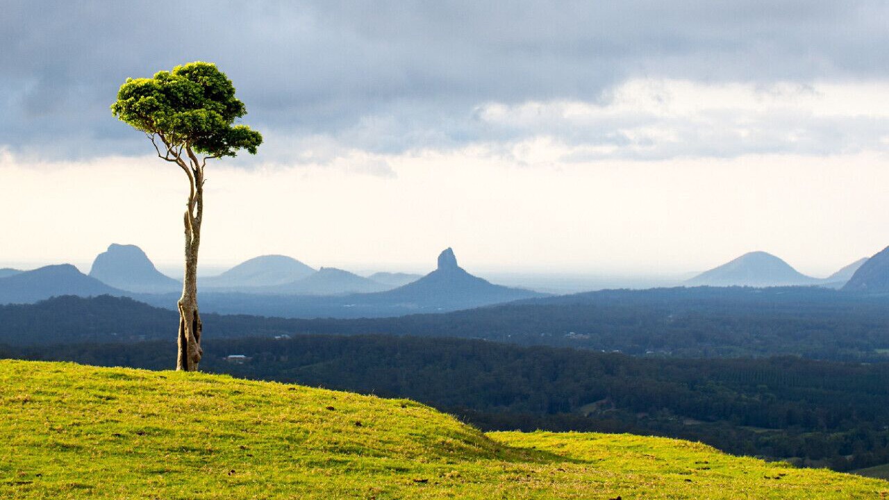 Photo of Others in Maleny