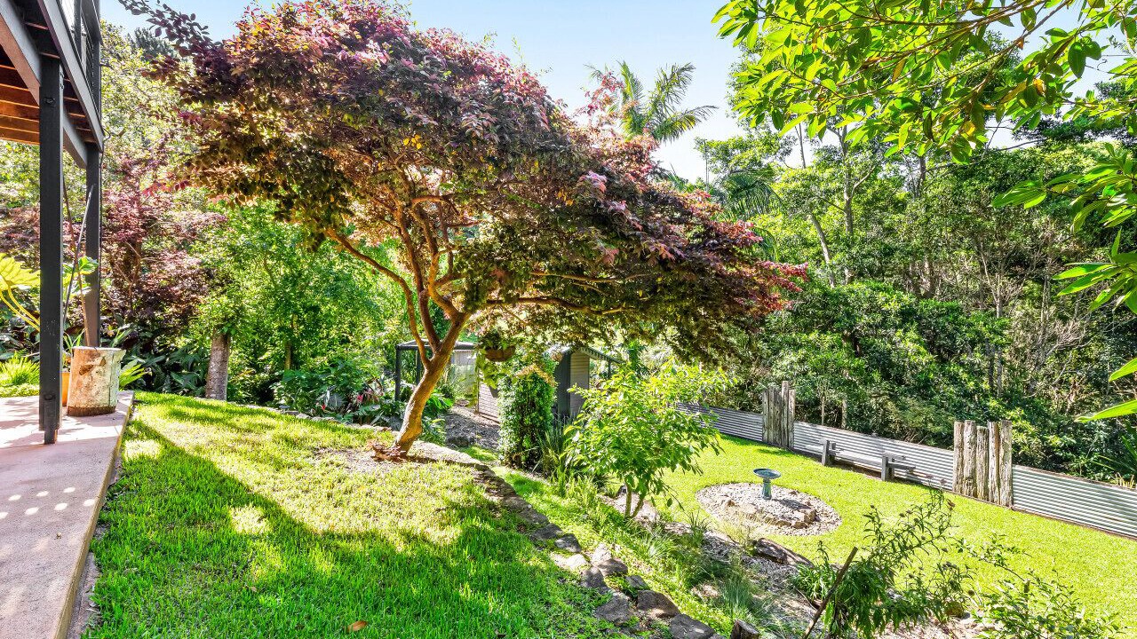 Photo of Outdoor in Maleny