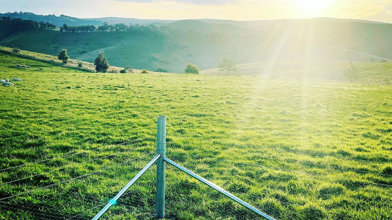 Photo of Others in Portland