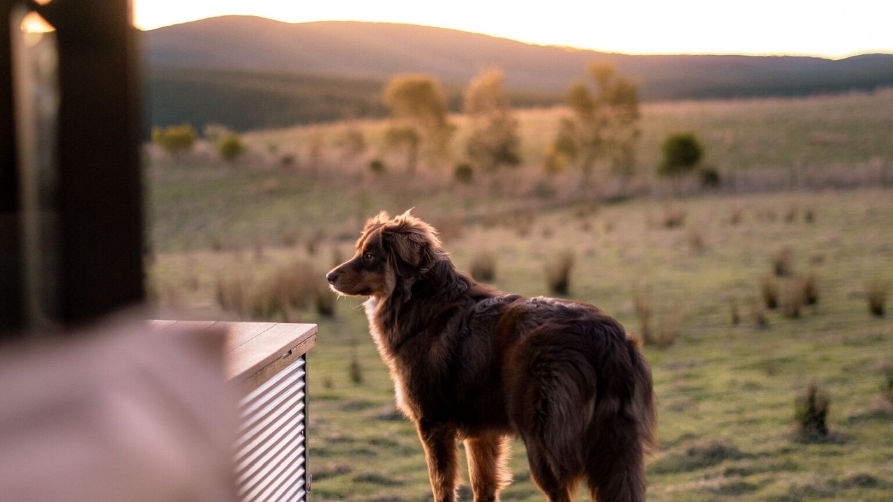 Photo of Outdoor in Portland