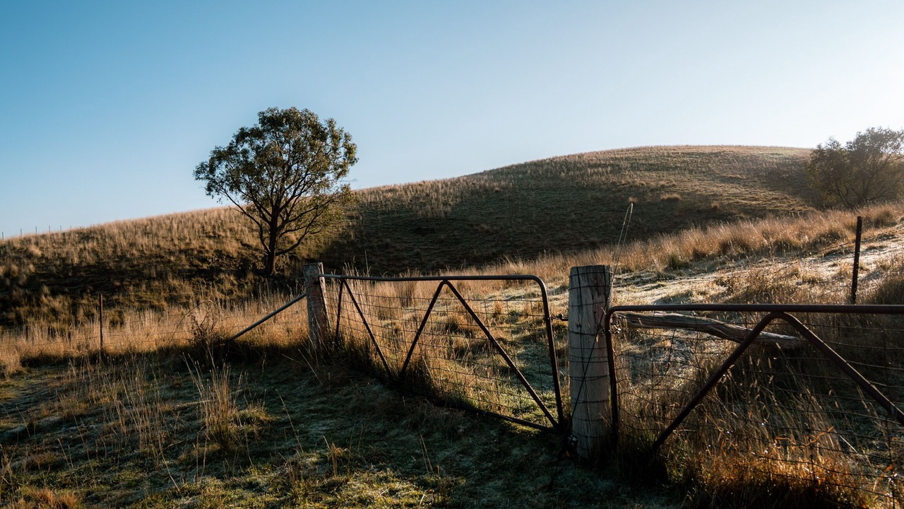 Photo of Outdoor in Portland