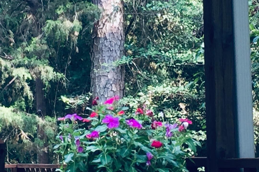 Photo of Outdoor in Hawkins