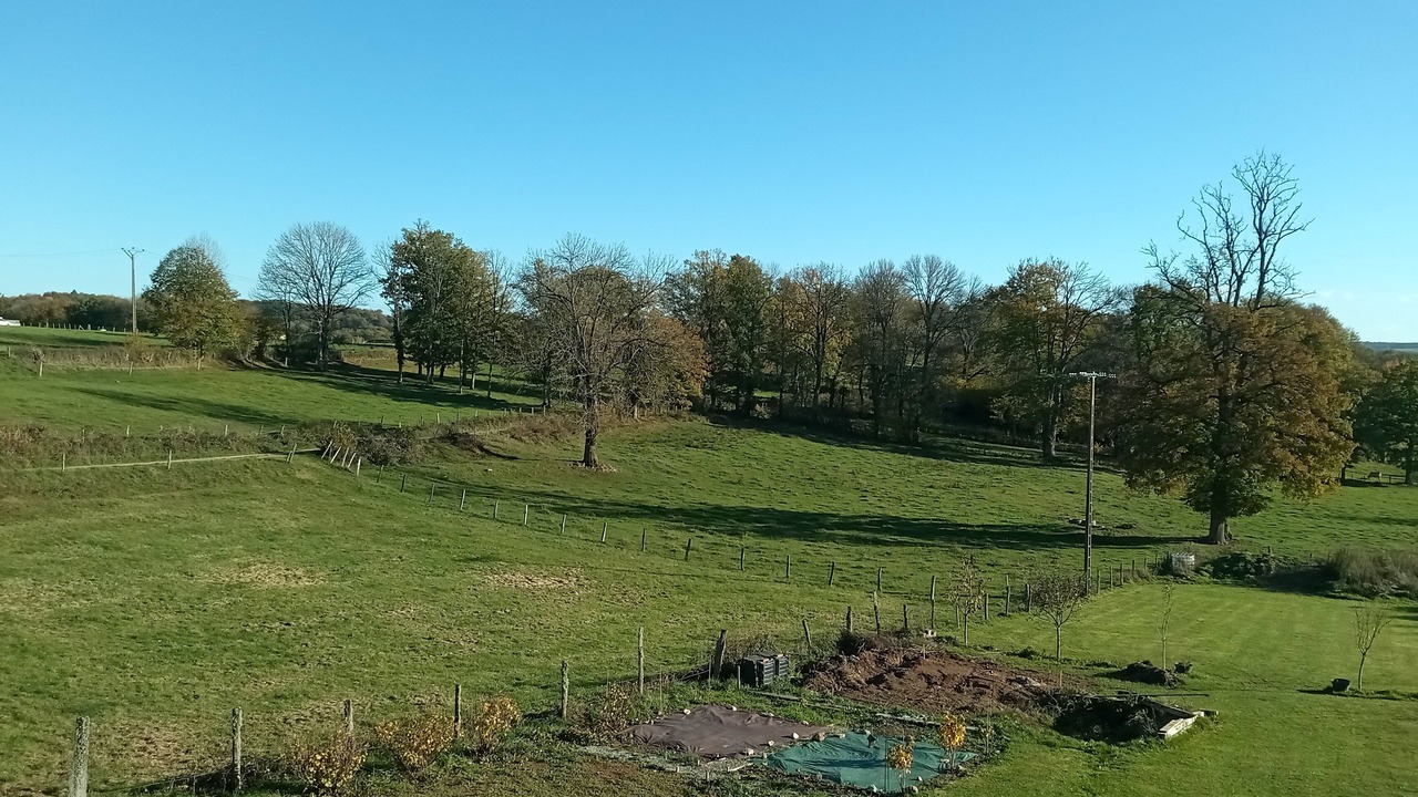 Photo of Others in Merinchal