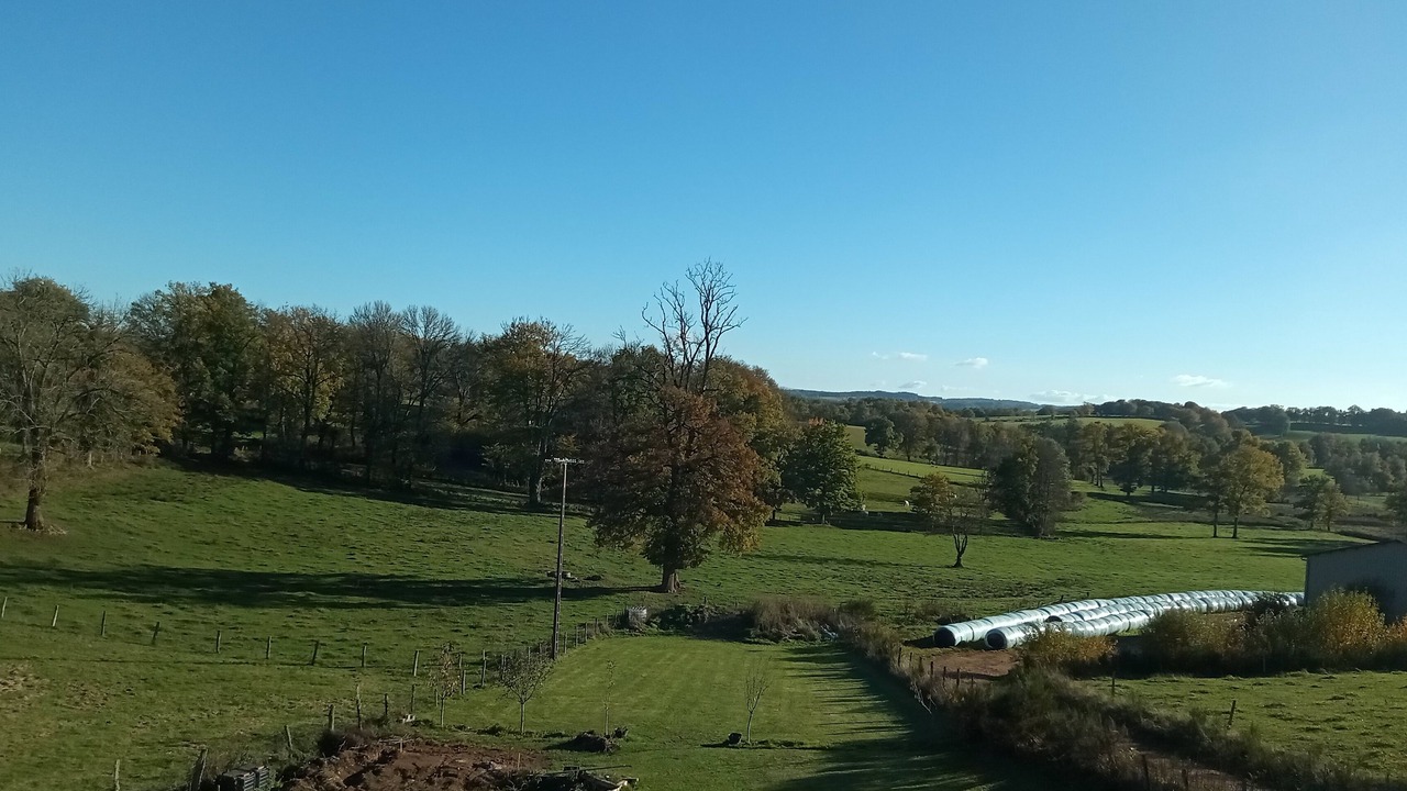 Photo of Others in Merinchal