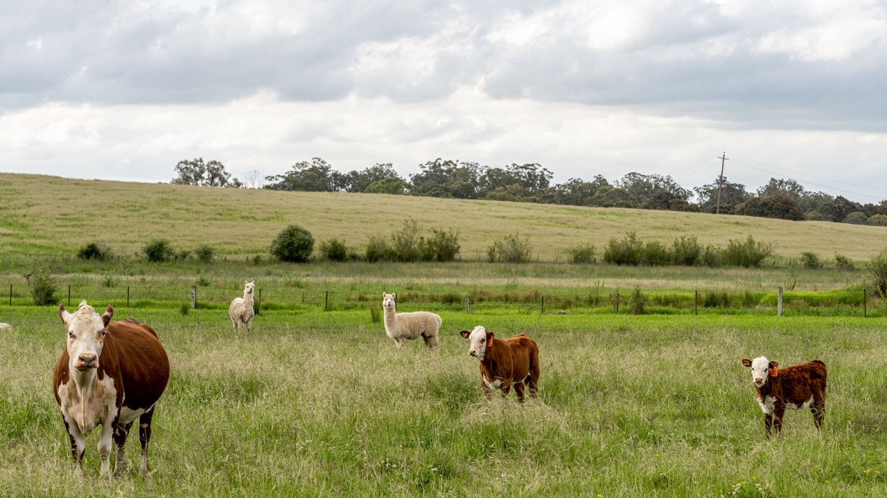Photo of Bathroom in Menangle