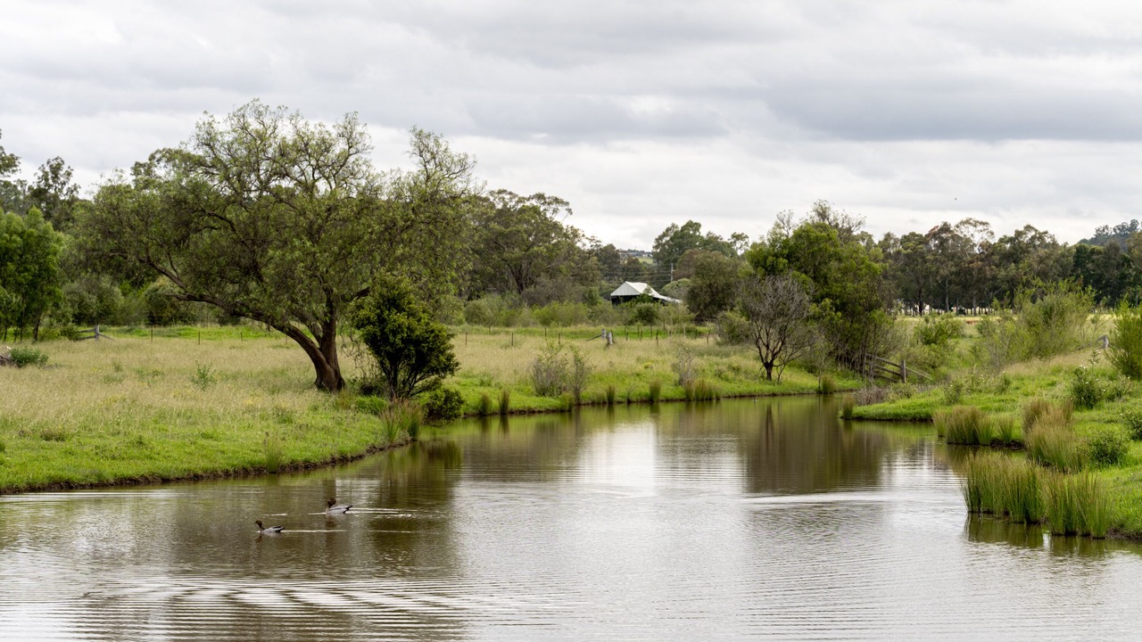 Photo of Others in Menangle