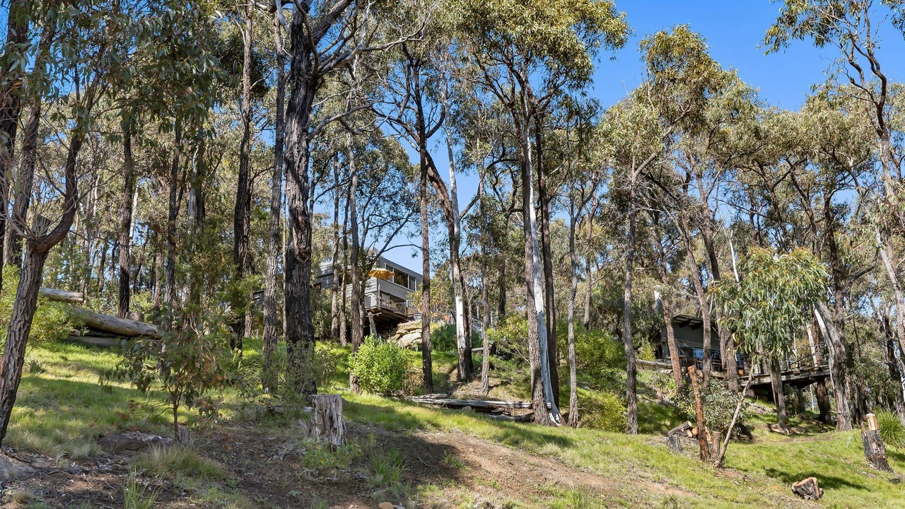 Photo of Others in Big Hill