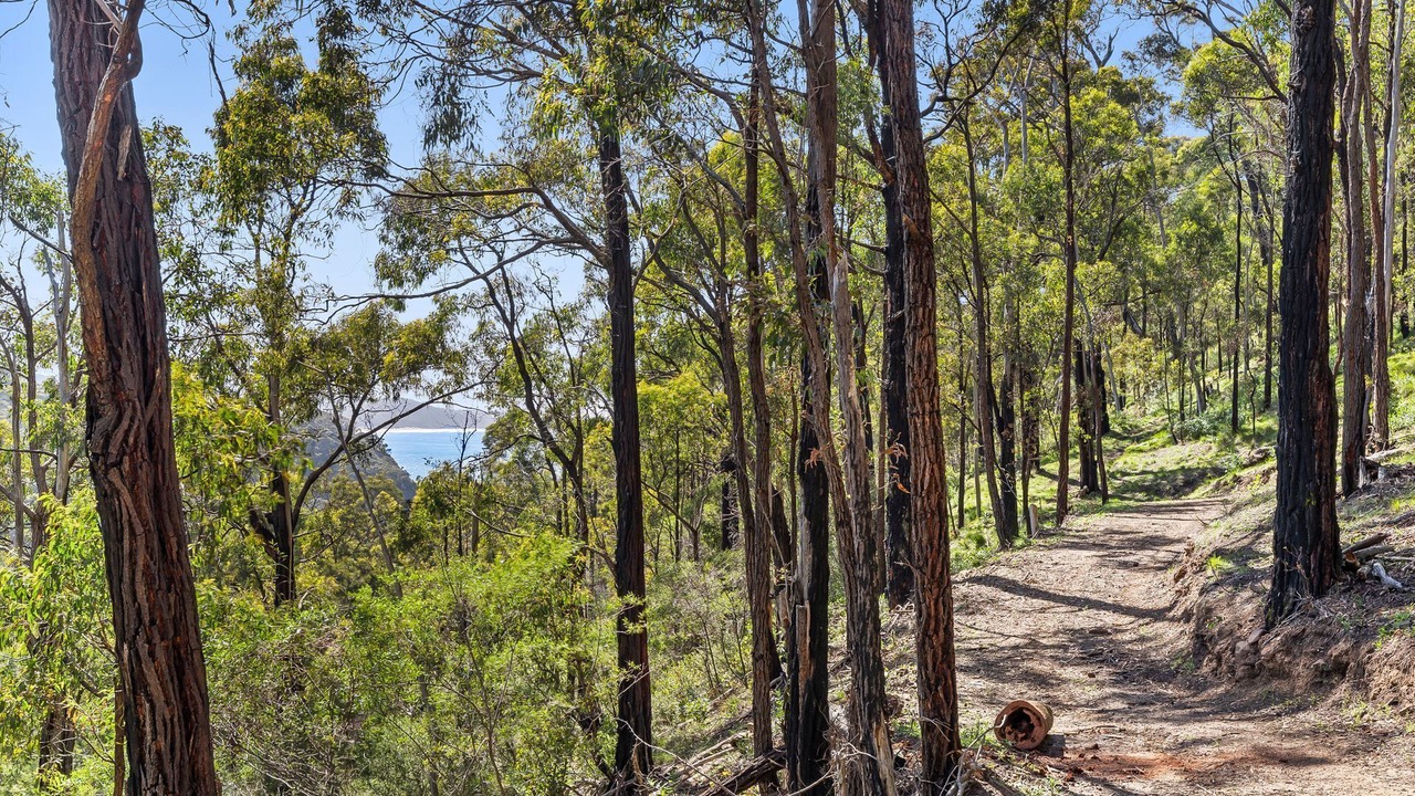 Photo of Others in Big Hill