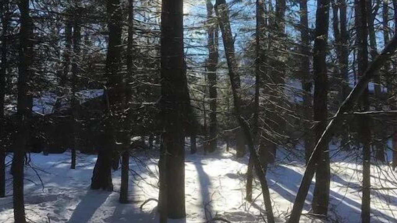 Photo of Others in Lake Harmony