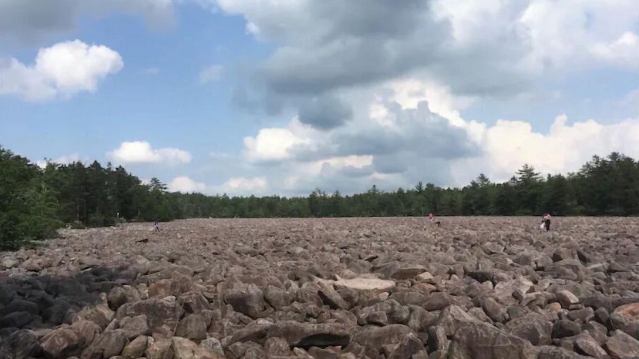 Photo of Others in Lake Harmony