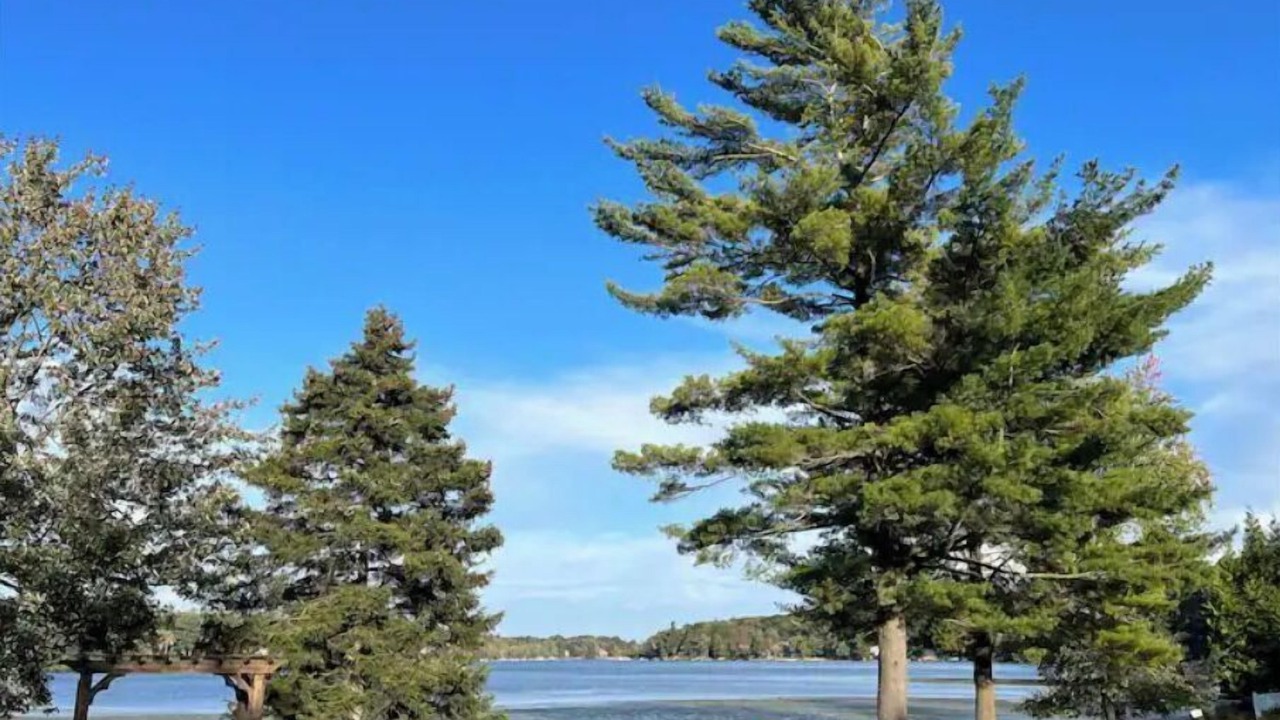 Photo of Outdoor in Lake Harmony