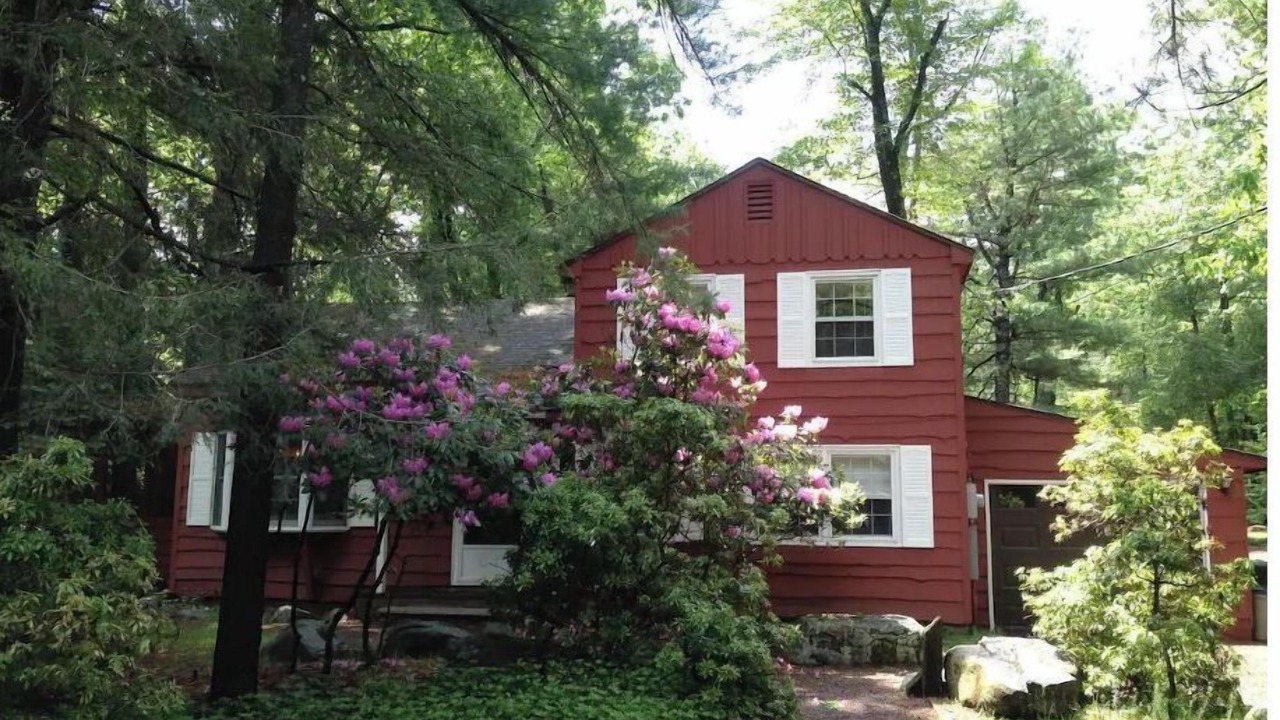 Photo of Others in Lake Harmony