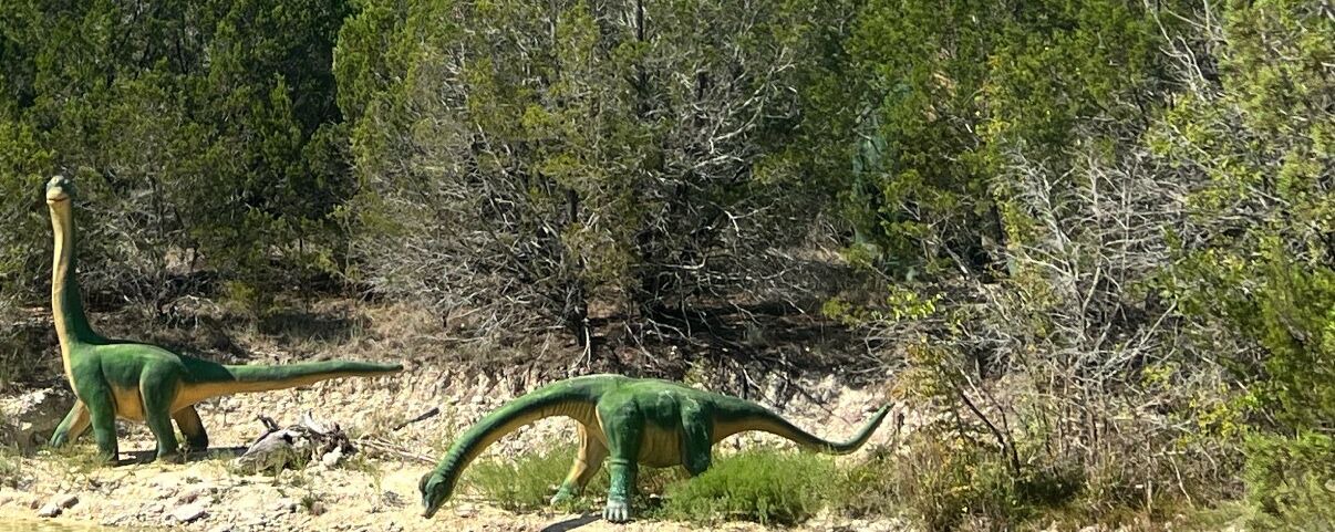 Photo of Others in Glen Rose