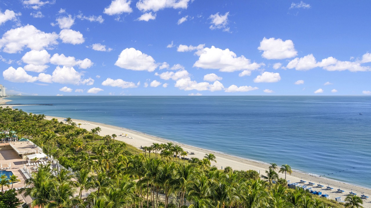 Photo of Others in Bal Harbour