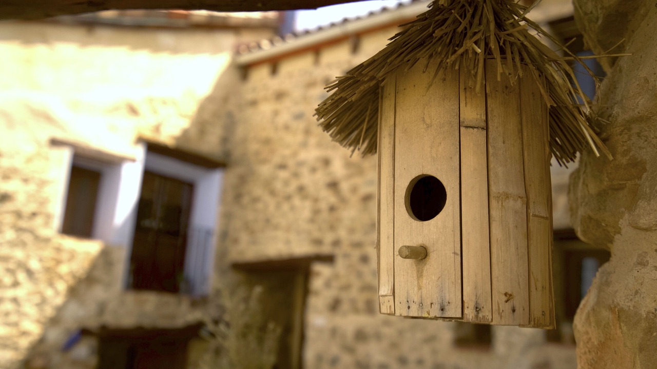 Photo of Outdoor in La Cuevarruz