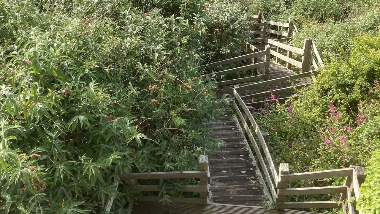 Photo of Outdoor in Bigbury-on-Sea