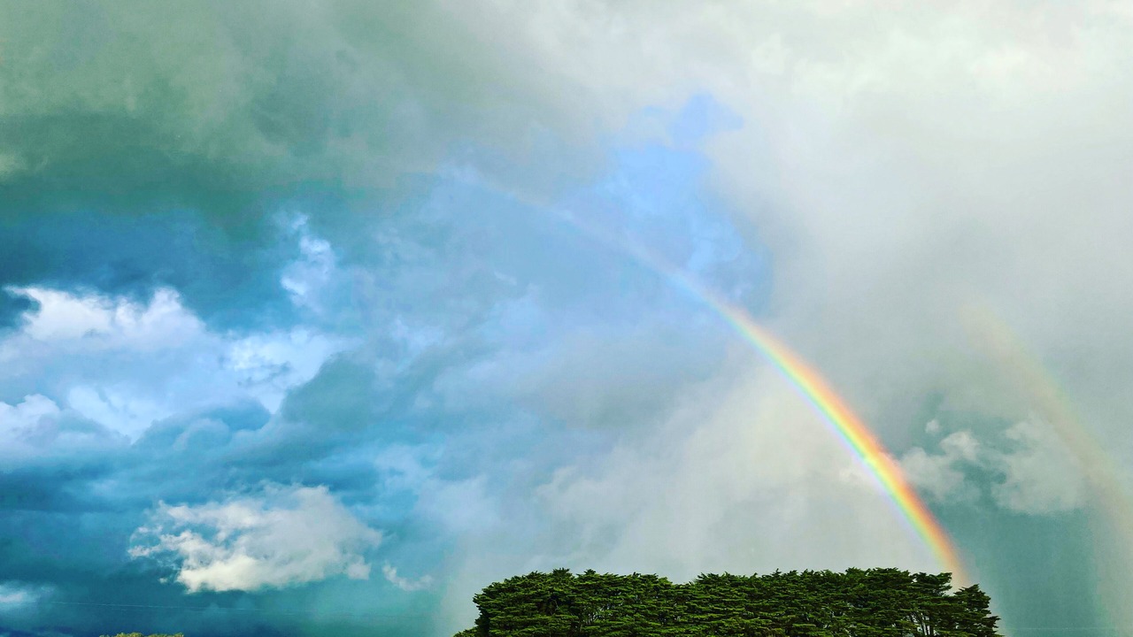 Photo of Others in Romsey