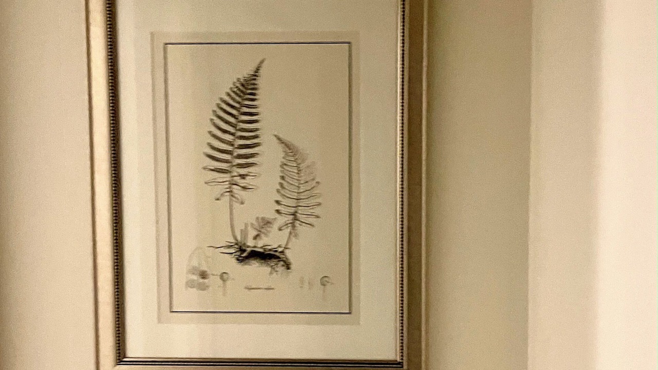 Photo of Others in Romsey