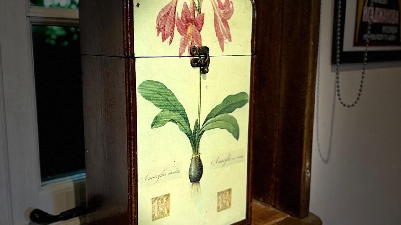 Photo of Others in Bovey Tracey