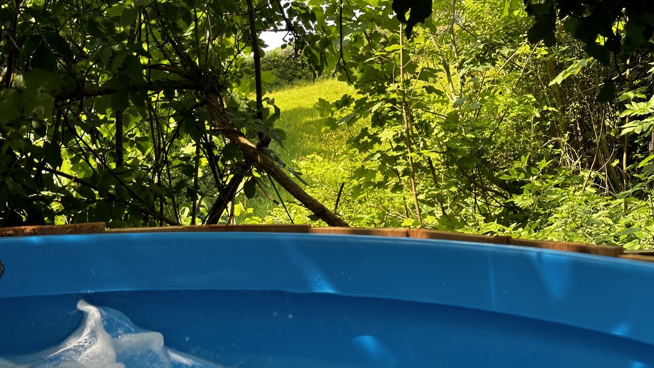 Photo of Others in Bovey Tracey