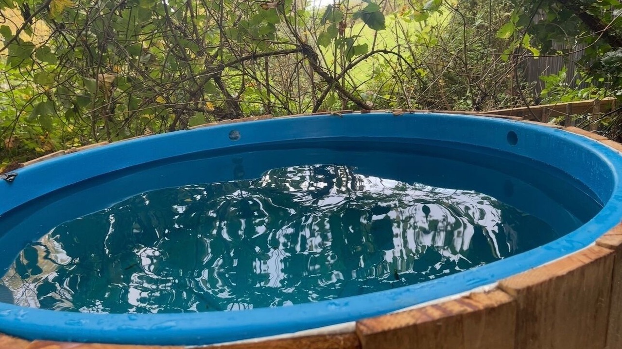 Photo of Others in Bovey Tracey