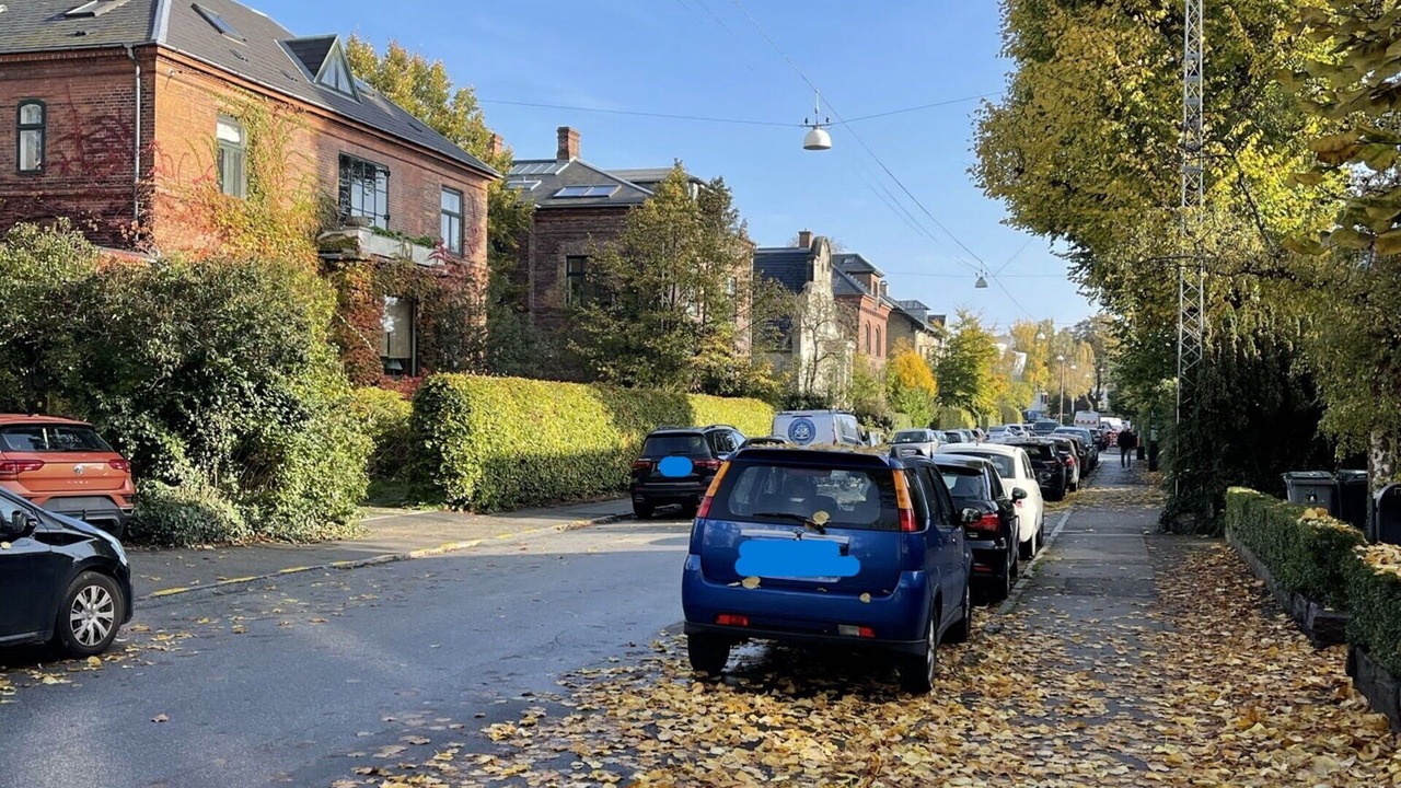 Photo of Others in Frederiksberg C